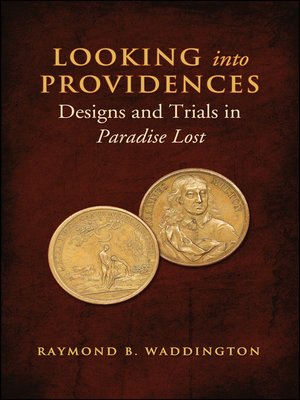 cover image of Looking Into Providences
